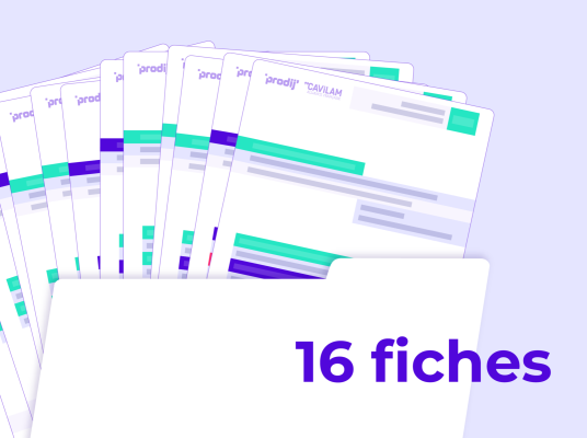 Minia recherche emploi