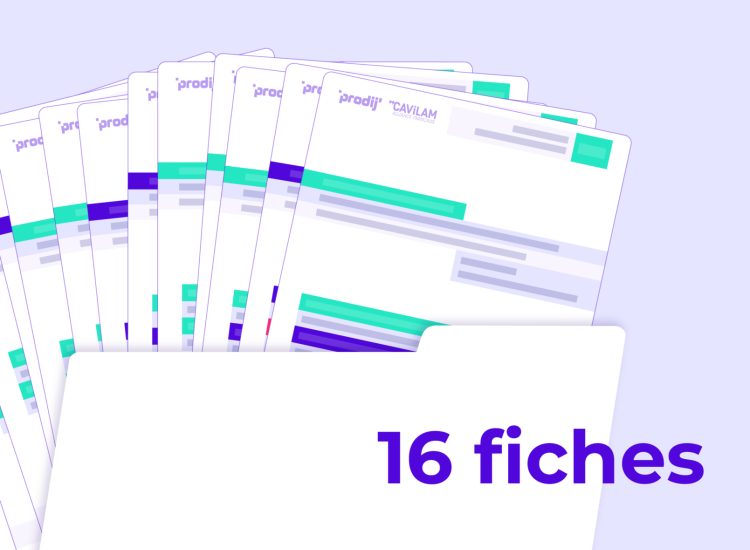 Minia recherche emploi