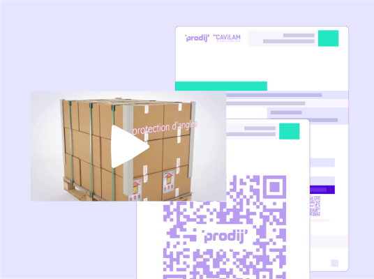 Minia LOG